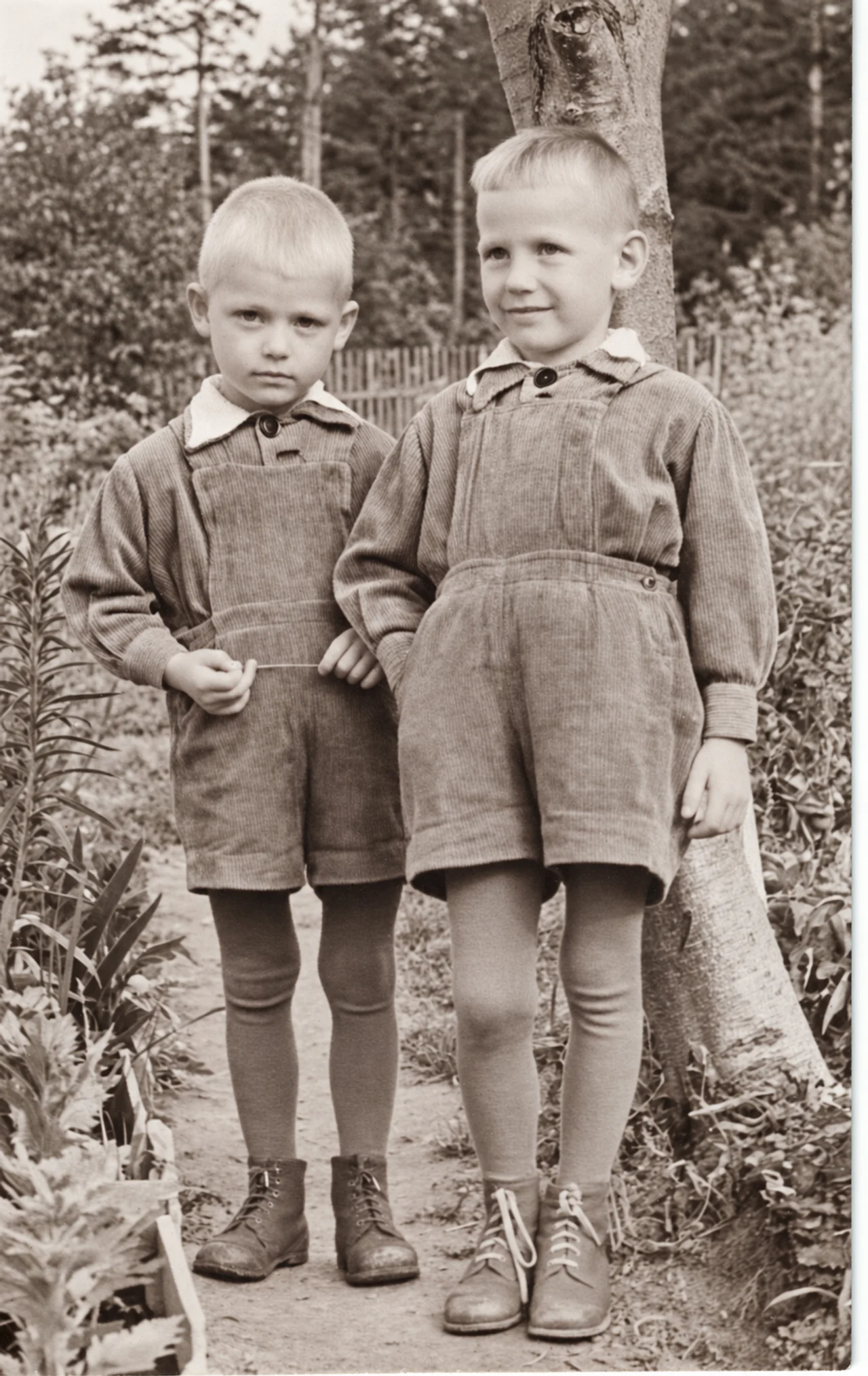 Братья Щипины. 1956 г.